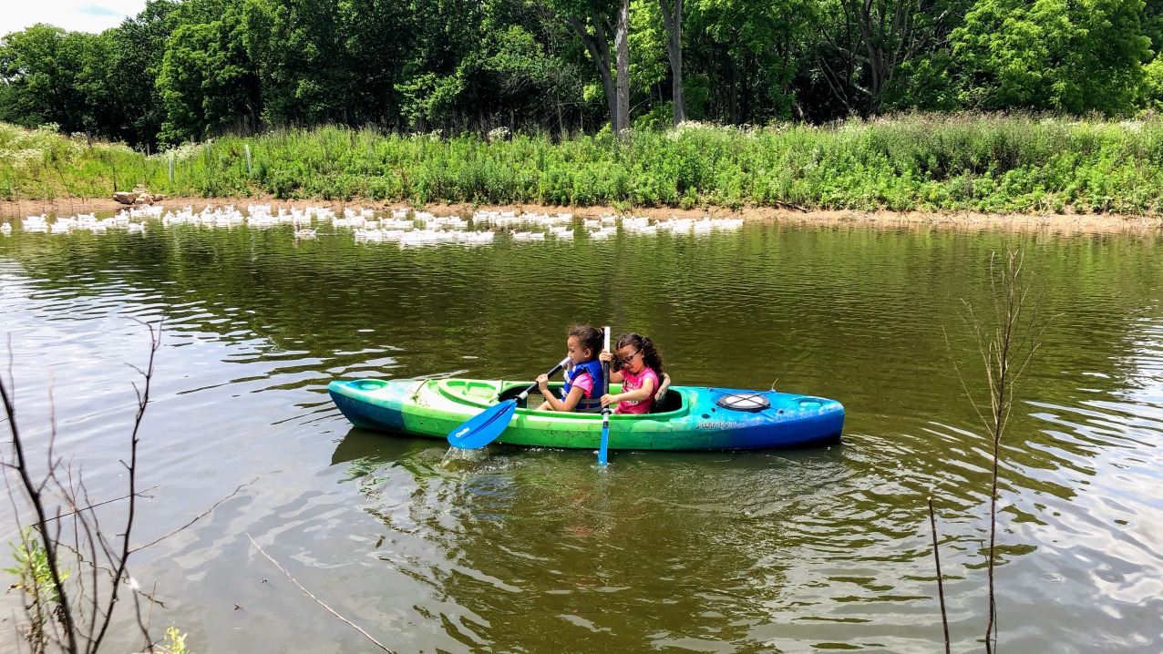 Water Activities